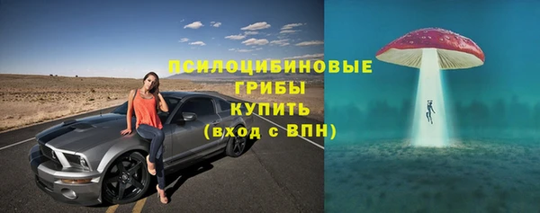 соль ск Абдулино