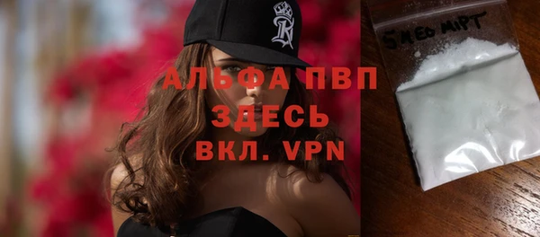 хмурый Абаза
