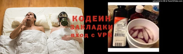 хмурый Абаза
