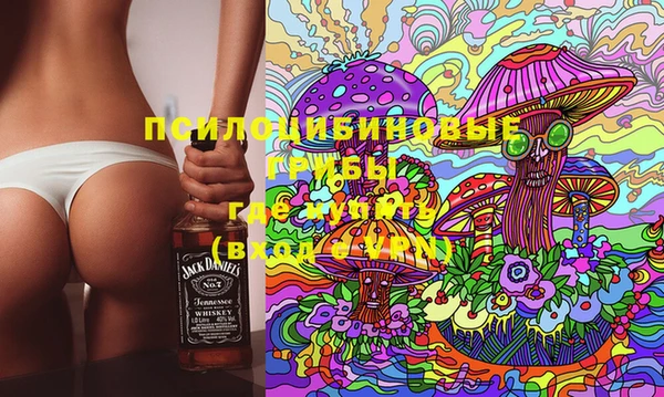 соль ск Абдулино