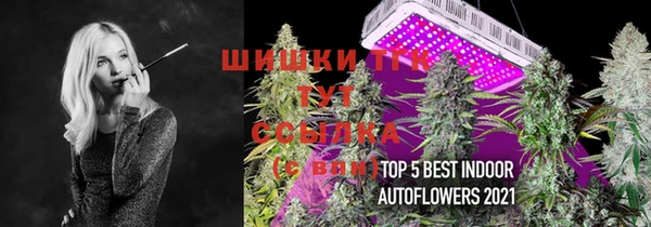 соль ск Абдулино