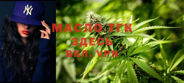хмурый Абаза