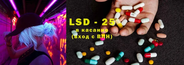 хмурый Абаза