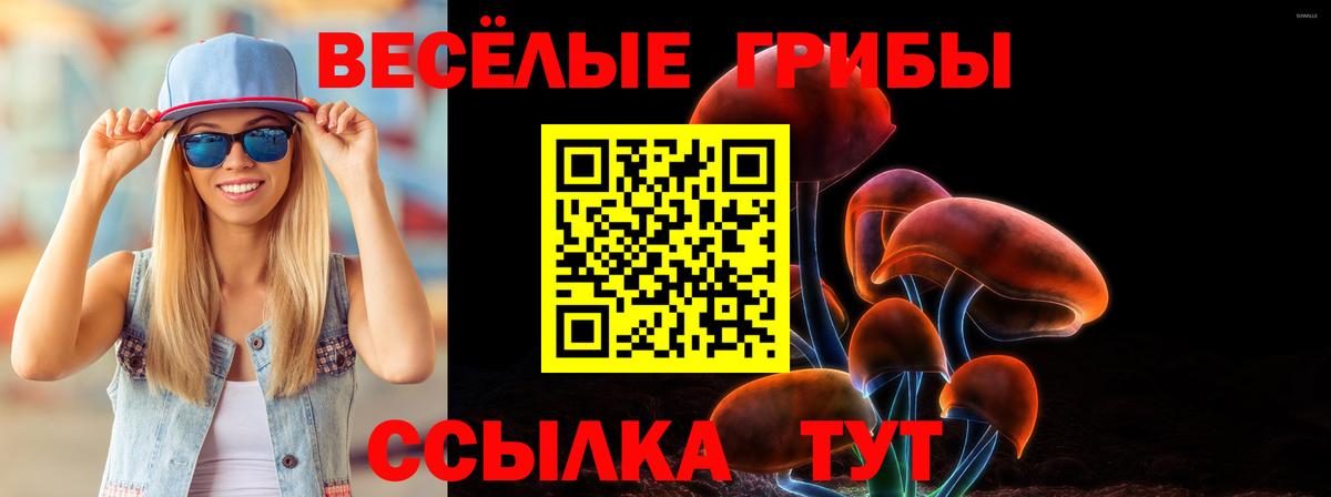 где продают наркотики  Галлюциногенные грибы MAGIC MUSHROOMS  Вход с VPN  Шумерля 